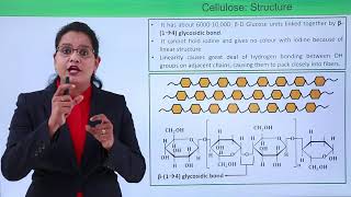 Biomolecules  Homo polysaccharides cellulose [upl. by Riplex156]