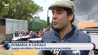 TVI  Acompanhamento da 1º percurso da Romaria a Cavalo Moita  Viana do Alentejo [upl. by Aver]