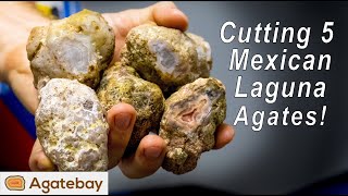 Cutting Agates This batch of 5 Mexican Laguna Agates is awesome Hidden surprises 4K [upl. by Dyche]