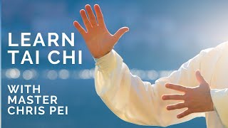 Tai Chi for Beginners  Best Instructional Video for Learning Tai Chi [upl. by Ahsemrak]