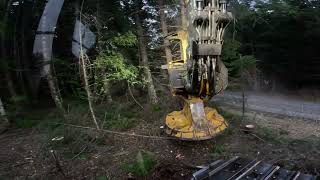 Cutting with a Tigercat LX870D with a 26in Hotsaw [upl. by Castle]