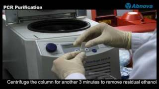 PCR Purification [upl. by Freeman468]