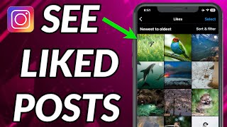 How To See Liked Posts On Instagram [upl. by Ielerol956]