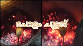 Cholam Chuttathu  ചോളം ചുട്ടത്  Spicy Corn Roast  Spicy Cholam  Kappayum Burgerum  shorts [upl. by Eiraminot]