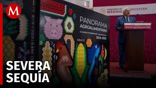 Reportan crecimiento del 47 en producción agropecuaria y pesquera entre 2018 y 2023 en México [upl. by Najed31]