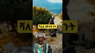 የወንዶች ቁና ሻለቃ መሳፍንት stitch shorts ethiopianculturalmusic [upl. by Novaj]