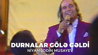 Niyaməddin Musayev  Durnalar gölə gəldi Arxiv Video [upl. by Edrick]