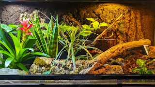 Naturalistic BioActive Enclosure For A Ball Python [upl. by Enomas]