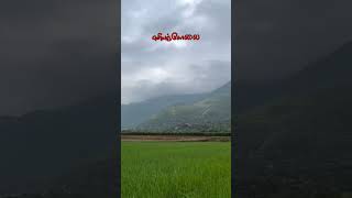 Sorgame endralum song tamilmelodysongs folksong tamilsong [upl. by Lexie807]