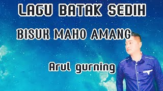 BISUK MAHO AMANG ciptmartogi sampNelson h coverArul gurning [upl. by Suqram]