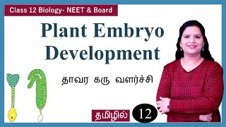 Development of Dicot Embryo in Angiosperms [upl. by Abla]