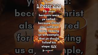 Share the Good News Bible Verse of the Day 1 Peter 221 KJV [upl. by Ennyleuqcaj]