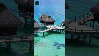 Bora Bora Discover a Tropical Paradise of Turquoise Waters and Overwater Bungalows shorts [upl. by Travax]