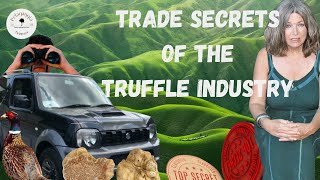 The Trade Secrets of the Truffle Industry Part 1 [upl. by Halbeib]