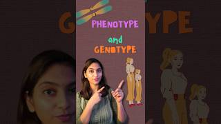 Phenotype amp Genotype  Class 12 shorts neet ytshorts [upl. by Fredek255]