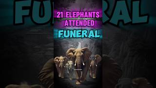 21 Elephants Attend a Funeral 😮 animals elephant emotional KnowledgePedia2023 [upl. by Clarinda465]