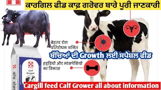 Cargill feed Calf Grower ਬਾਰੇ ਪੂਰੀ ਜਾਣਕਾਰੀ। ਕੀ ਫਾਇਦੇ ਕਦੋ ਕਿੰਨੀ ਪਾਉਣੀ । SANSANIWALDAIRYFARM [upl. by Kenrick805]