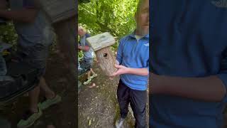 Bird Box making at the Woodland and Wellbeing Project Pil Woods 12 Aug 2024 [upl. by Eirrot]