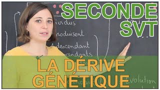 La dérive génétique  SVT Seconde  Les Bons Profs [upl. by Ponce]