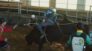 Bailey Searle Bucking Bulls [upl. by Enuj]