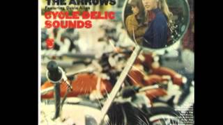 Davie AllanampThe arrows ‎– CycleDelic Sounds Full Album [upl. by Fry]