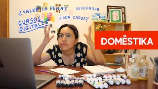 Aprendiendo ilustración con DOMESTIKA Mi experiencia [upl. by Enida]