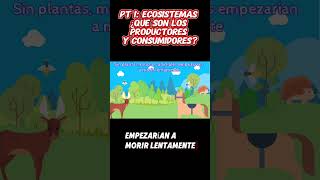 PARTE 1  Ecosistemas ¿Qué son los Productores y Consumidores 🌱🦁 ecosistema [upl. by Agathy781]