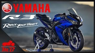 Yamaha R3 Ride Review [upl. by Htebsil]