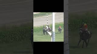 Horse Race Winner Vitoria Oct 2024 horseracing racing lrc horserace sports [upl. by Nwahsram]