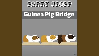 Guinea Pig Bridge [upl. by Touber79]