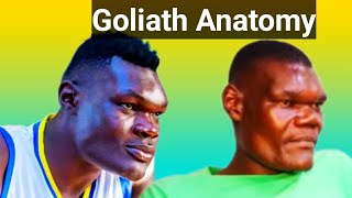 quotMBONA VICHWA ZINAKAA HIVOquot Bradley Gen Z Goliath Anatomy [upl. by Ydnim178]