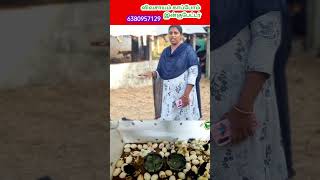 IncubatorReelsManufacturingTrending Agriculture Vivasayam tamilreelstrending [upl. by Mose]