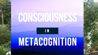 Consciousness in Metacognition [upl. by Lap371]