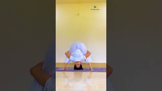 Yoga asana shortvideo yogapose urmiyogaacademy shorts youtubeshorts ytshorts headstand [upl. by Natsirt]