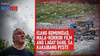 Isang komunidad malahorror film ang lagay dahil sa kakaibang peste  GMA Integrated Newsfeed [upl. by Eleda]