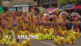 Amazing Earth Visiting Lanzones festival in Camiguin [upl. by Akcirahs]