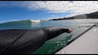 Punakaiki River Mouth session w dolphins [upl. by Adnarram]