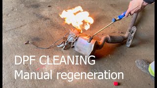 DPF cleaning how do i clean DPF [upl. by Mckee]