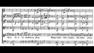 Mozart  Bastien und Bastienne 5  Aria Wenn mein Bastien einst im Scherze [upl. by Eelirrem]