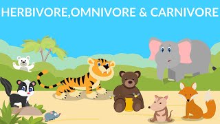 Herbivores  Carnivores  Omnivores  Types of Animals [upl. by Sparky]