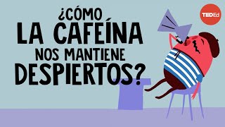 ¿Cómo la cafeína nos mantiene despiertos  Hanan Qasim [upl. by Yobybab]