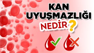 Kan Uyuşmazlığı Nedir Hangi Durumlarda Kan Uyuşmazlığı İğnesi Yapılır [upl. by Elyn]