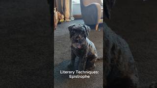 Literary Techniques Epistrophe dog [upl. by Aisyram]