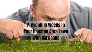 Preventing Weeds with Nitro Phos Barricade Pre Emergent An Overview by Houston Grass [upl. by Arimak]