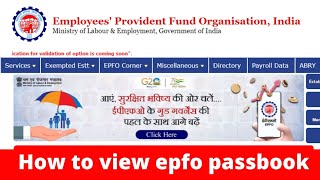 epf passbook video  how to view epfo passbook epfopassbook [upl. by Lithea]