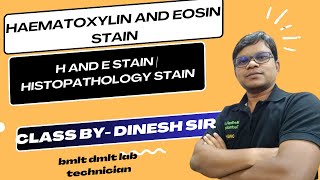 Haematoxylin and Eosin Stain  H and E stain  Histopathology stain Theory class [upl. by Gayel]