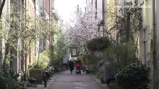 Amsterdam Citywalk  Netherlands HD Travel Channel [upl. by Lillith]