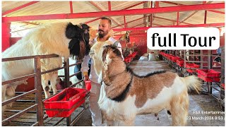 MD Goat Farm Ramadan Series 2024  Full Farm Tour [upl. by Fanchon]