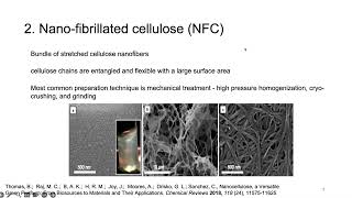 What Is Nanocellulose [upl. by Linson893]