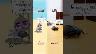 POV SAVING MOSQUITO video parody of drawforfunyt robloxedit roblox memes funny [upl. by Schonfield]